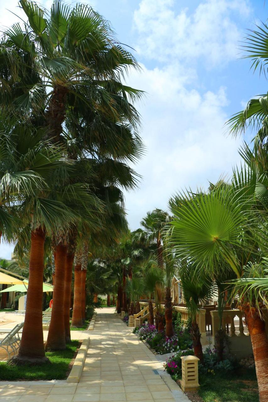 The Ksar Djerba Charming Hotel & Spa ミドゥン エクステリア 写真